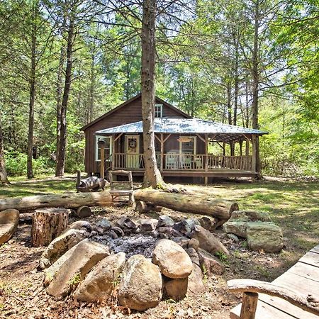 Clearwater Cabin On 10 Acres With Trout Stream! Monterey Zewnętrze zdjęcie