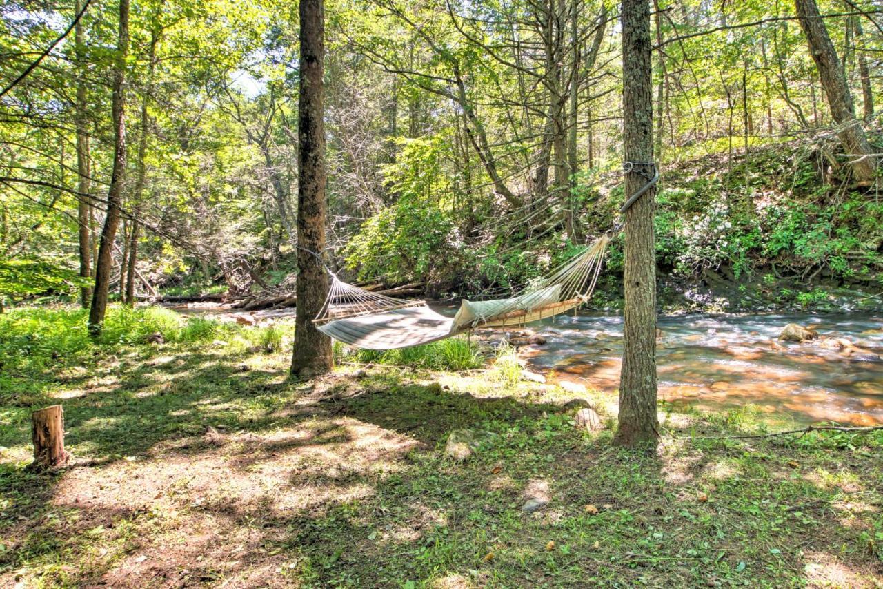 Clearwater Cabin On 10 Acres With Trout Stream! Monterey Zewnętrze zdjęcie