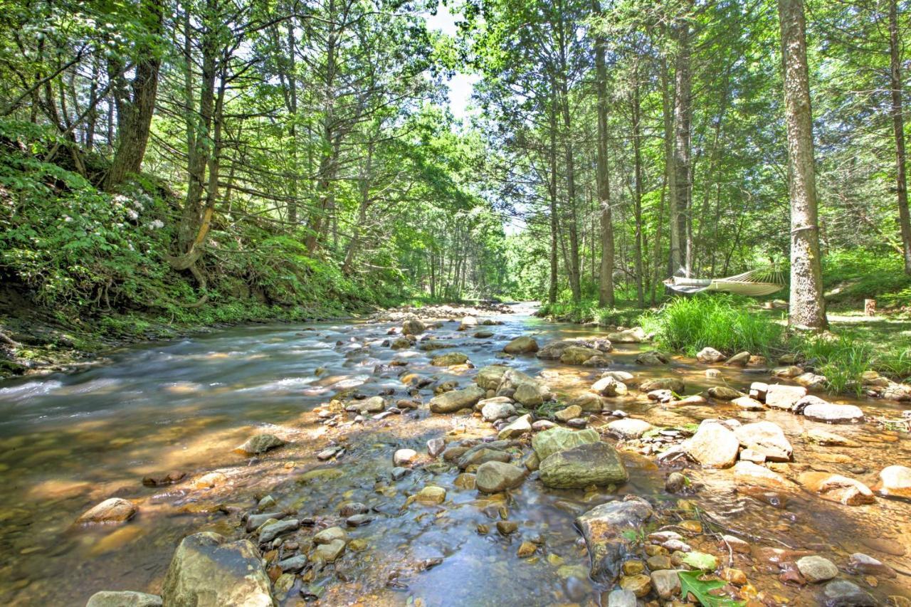 Clearwater Cabin On 10 Acres With Trout Stream! Monterey Zewnętrze zdjęcie