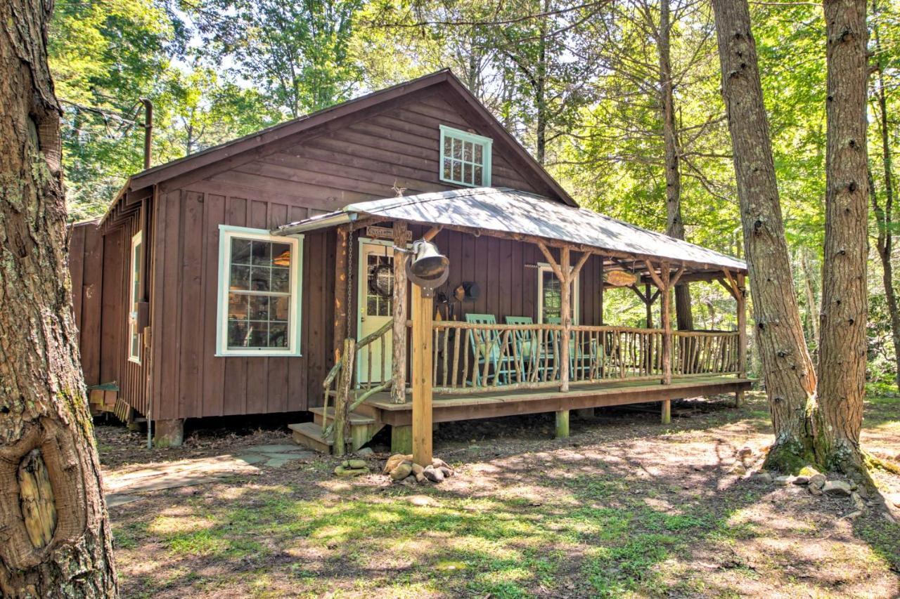 Clearwater Cabin On 10 Acres With Trout Stream! Monterey Zewnętrze zdjęcie